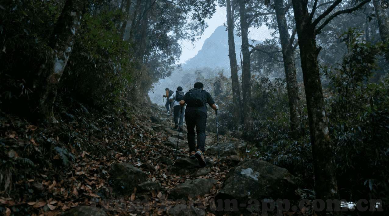 亚娱体育手机站-亚娱体育手机站，你的私人健身与娱乐联合站